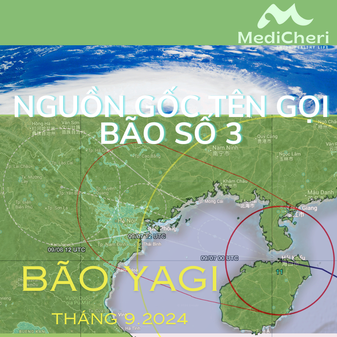 Nguồn gốc tên gọi bão Yagi: Vì sao lại là "Yagi"?